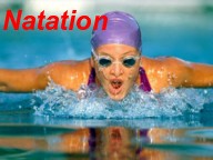 Image g�n�rique illustrant le type Sportives et le sous type Natation